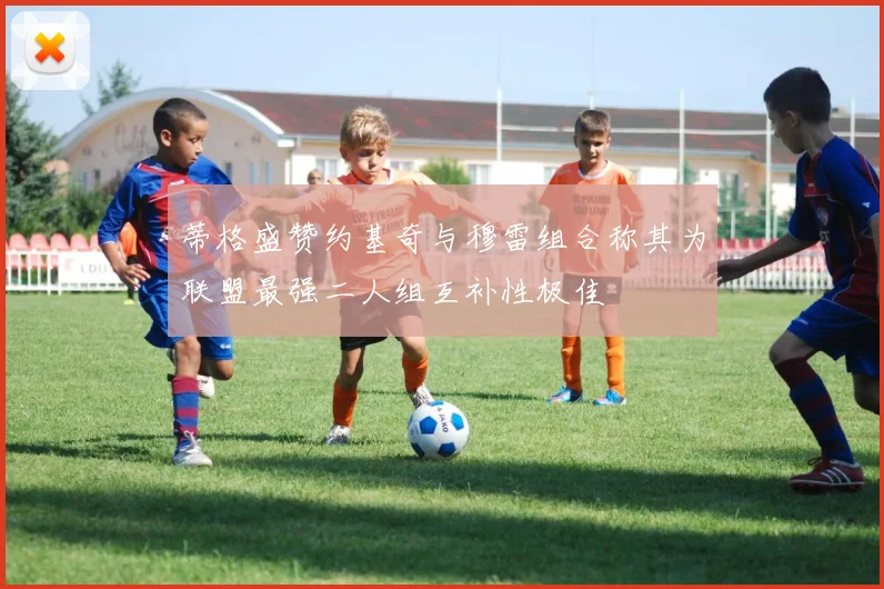 蒂格盛赞约基奇与穆雷组合称其为联盟最强二人组互补性极佳