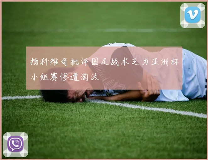 扬科维奇批评国足战术乏力亚洲杯小组赛惨遭淘汰