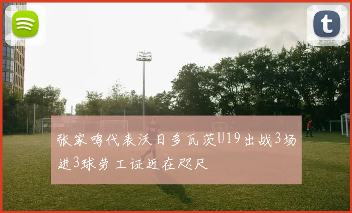 张家鸣代表沃日多瓦茨U19出战3场进3球劳工证近在咫尺